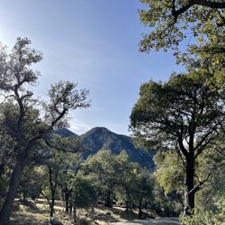 Bog Springs Campground