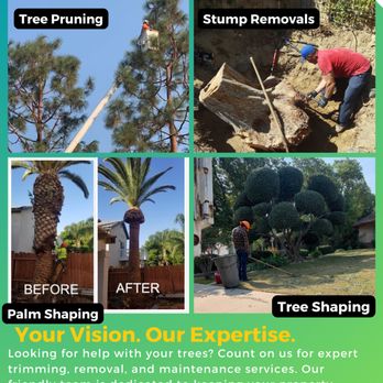 Mario's Tree Services - To schedule an estimate call 661.333.0835 - Tree Services Near Me - Bakersfield, California