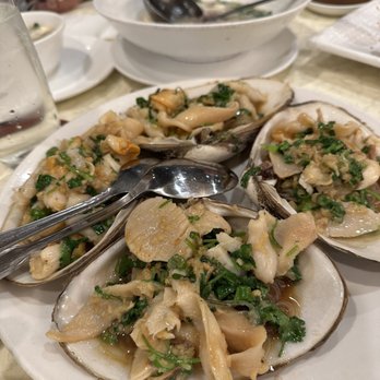 New SF Asian Pearl Peninsula - Dim Sum Near Me - Millbrae, California New SF Asian Pearl Peninsula - Dim Sum Near Me - Millbrae, California