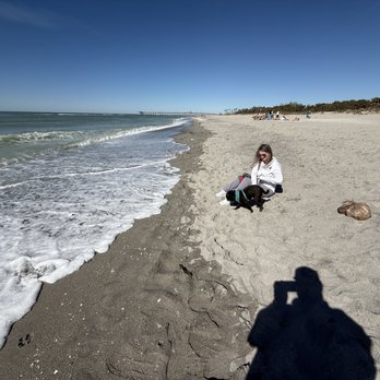 Brohard Paw Park & Beach - Dog Parks Near Me - Venice, Florida