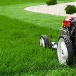 Yard & Nursery Depot - Not only are Toro lawn mowers reliable and effective, but they're also innovative and the perfect addition to your collection...