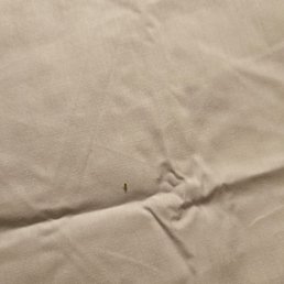 O yea and more BED BUGS O yea and more BED BUGS