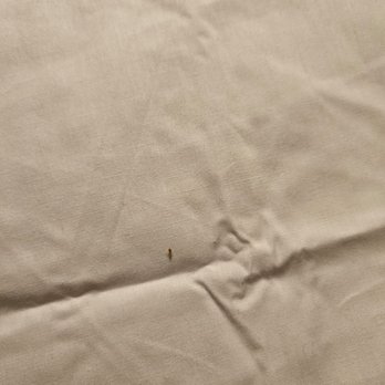 Red Roof Inn - O yea and more BED BUGS - Hotels Near Me - Hamburg, New York Red Roof Inn - O yea and more BED BUGS - Hotels Near Me - Hamburg, New York