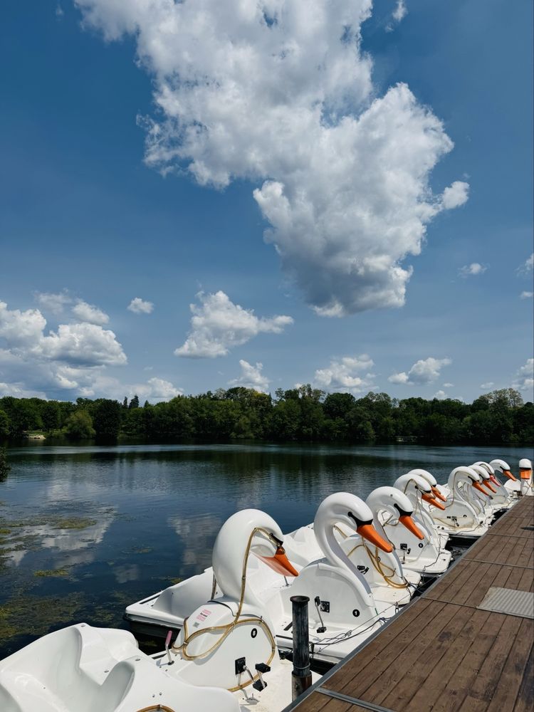 Como Lake Logo