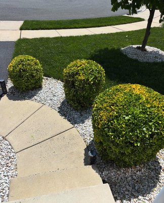 Bush and Edge Trimming - Bushes overgrown? That edge need a cleaner cut? Call us today for a free estimate and they'll never look better! Bush and Edge Trimming - Bushes overgrown? That edge need a cleaner cut? Call us today for a free estimate and they'll never look better!
