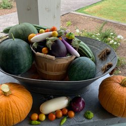 Niche Organic Gardens - Nicheorganicgardens.com
