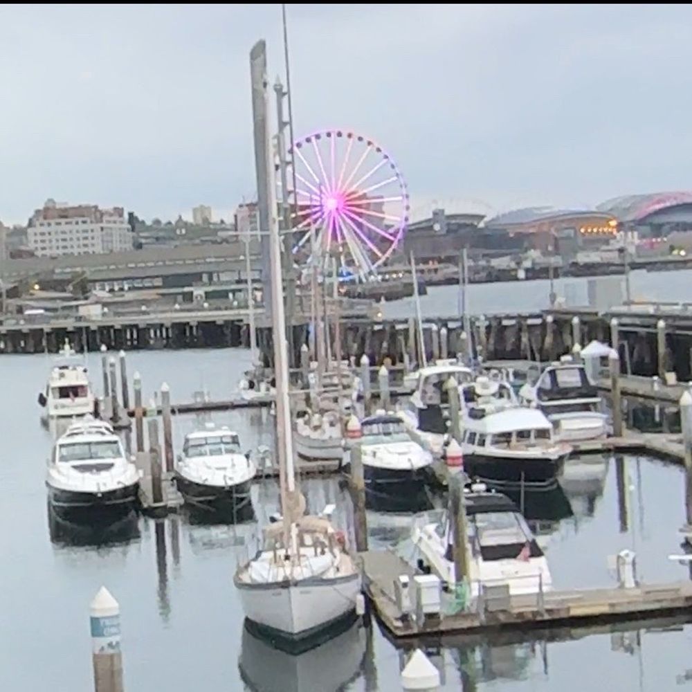 Anthony's Pier 66 - View from out table - Seafood Near Me - Seattle, Washington