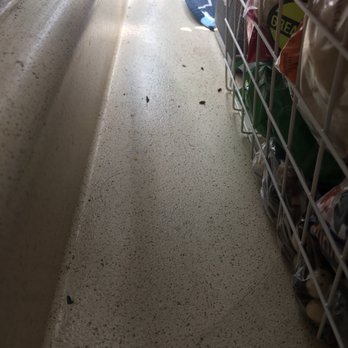 Pinewood Commons - This was under our basket of food in the kitchen. They chewed through about $75 worth of food. - Apartments Near Me - Gresham, Oregon