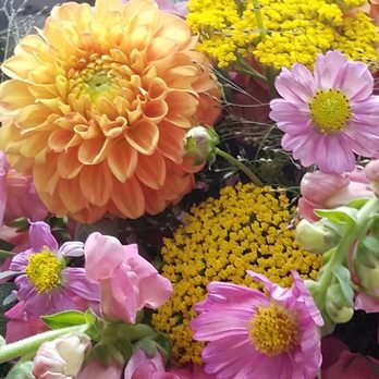 Breezy Day - Beautiful flowers from Breezy Day Weddings!!! - Wedding Planning Near Me