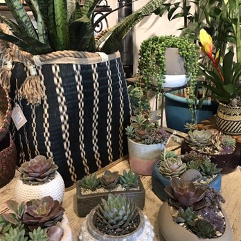 Potted - Home Decor Near Me - Los Angeles, California