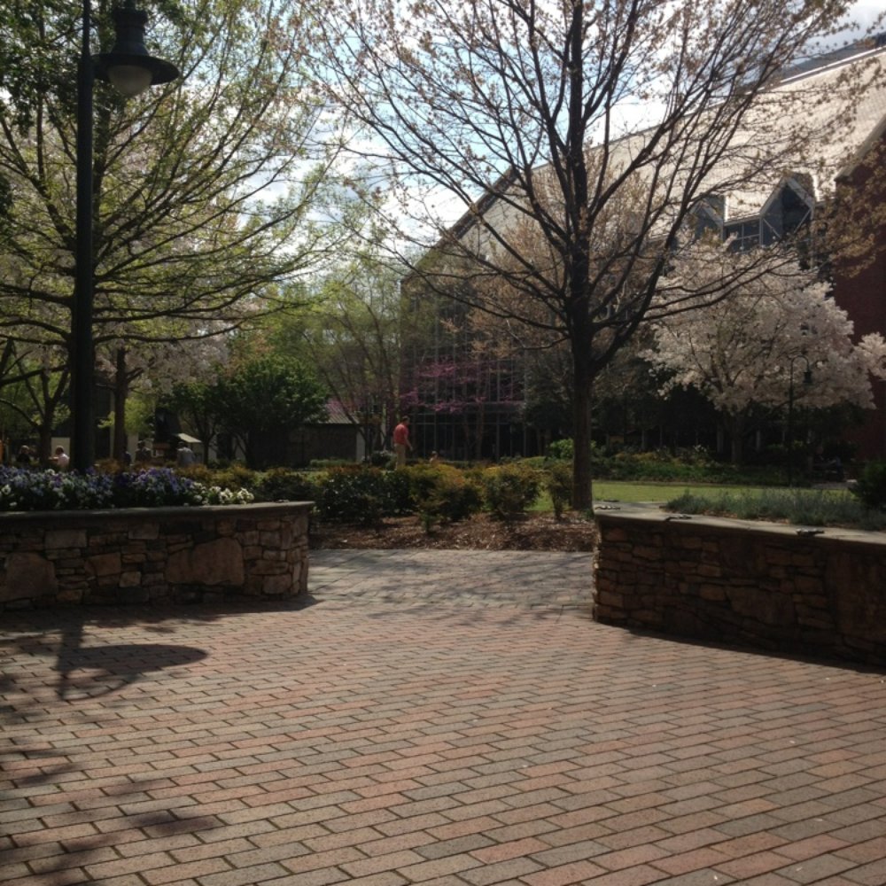 The Green - Urban oasis - Parks Near Me - Charlotte, North Carolina The Green - Urban oasis - Parks Near Me - Charlotte, North Carolina