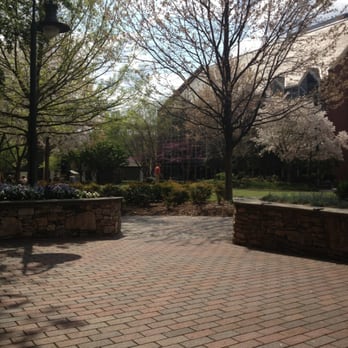 The Green - Urban oasis - Parks Near Me - Charlotte, North Carolina The Green - Urban oasis - Parks Near Me - Charlotte, North Carolina