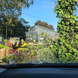 The Root System - Front of the building in Fall