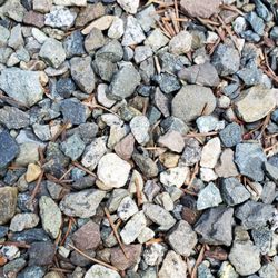 Lee's General Landscaping and Yard Clean Up