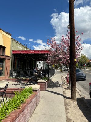 Caputo's Market & Deli 15th & 15th by null