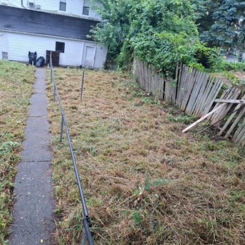 DMB Contracting Solutions - Brush removal and cut down 2 smaller trees #tree #landscaping - General Contractors Near Me - Grindstone, Pennsylvania DMB Contracting Solutions - Brush removal and cut down 2 smaller trees #tree #landscaping - General Contractors Near Me - Grindstone, Pennsylvania