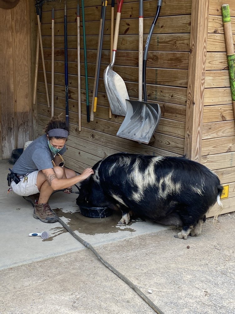 KAMPER PARK AND ZOO 124 Photos & 24 Reviews 107 S 17th Ave