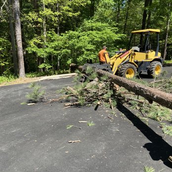 Shady Tree Service - Tree Services Near Me - Mechanicsville, Virginia Shady Tree Service - Tree Services Near Me - Mechanicsville, Virginia