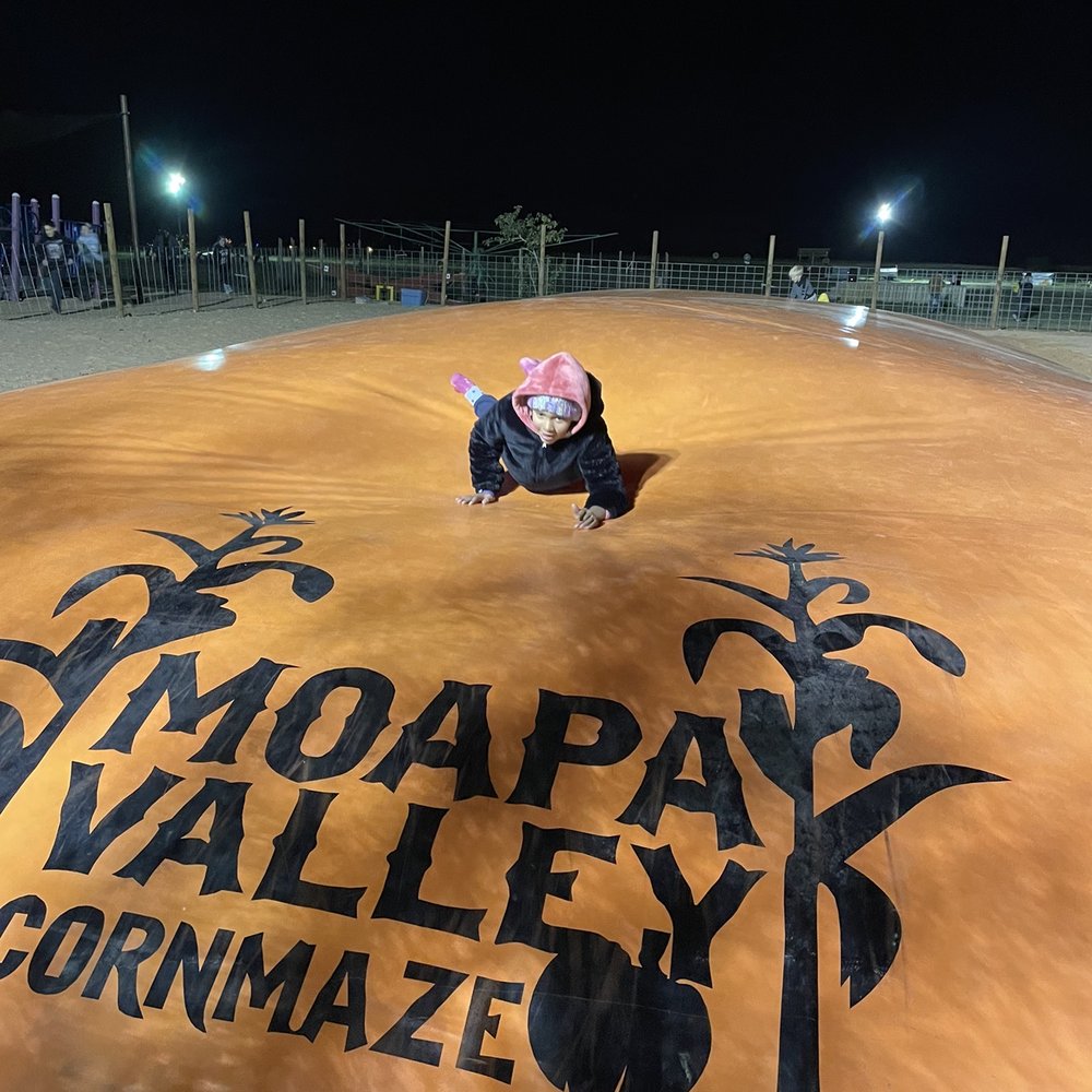 Moapa Valley Cornmaze - Jumbo jump pad - Attraction Farms Near Me - Logandale, Nevada