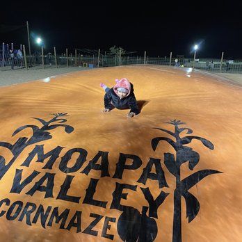 Moapa Valley Cornmaze - Jumbo jump pad - Attraction Farms Near Me - Logandale, Nevada