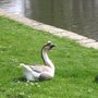Photo of Unterer Teich
