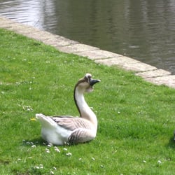 Unterer Teich