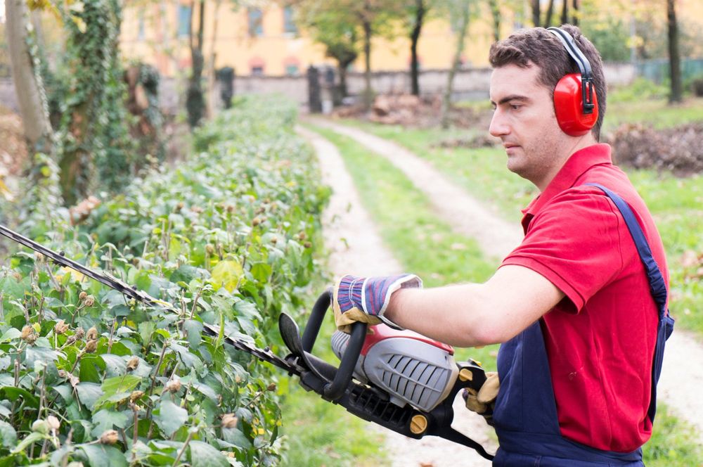 All American Brush Removal - tree service in Saint Louis, MO