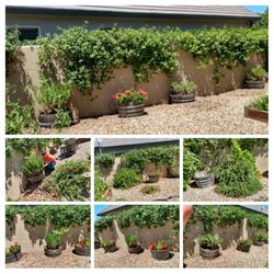 Table Mountain Maintenance - Before and afters