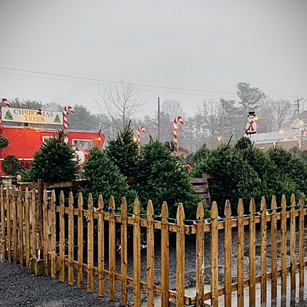TOP 10 BEST Christmas Trees near Hunter, NY 12442 - Updated 2026 - Yelp, image size:1000x1000
