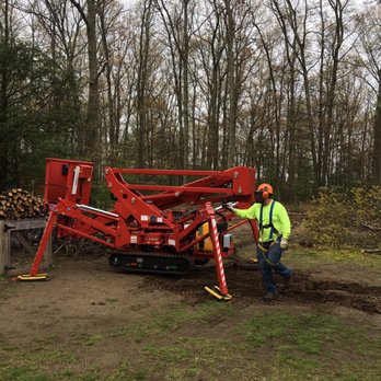 Tree Buds - Tree Services Near Me - Bellingham, Massachusetts