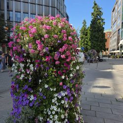 Hohe Bleichen / Heuberg Platz