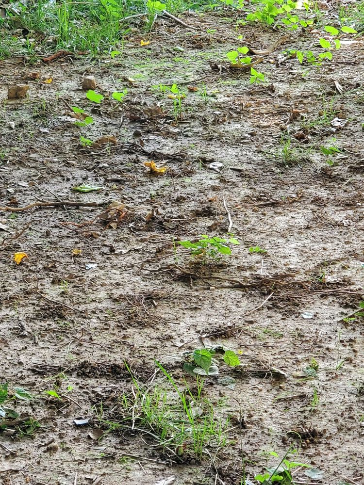 Slide of Pipe Wrench Plumbing, Heating & Cooling