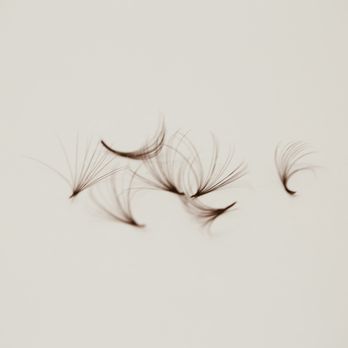 Alexandria Lash Studio - Handmade Lash extensions - Makeup Artists Near Me - Petaluma, California Alexandria Lash Studio - Handmade Lash extensions - Makeup Artists Near Me - Petaluma, California
