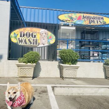 Aquarium & Pets - Happy freshly laundered corgi baby - Pet Stores Near Me - Red Bluff, California Aquarium & Pets - Happy freshly laundered corgi baby - Pet Stores Near Me - Red Bluff, California