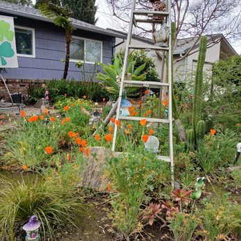 Authentic Landscape - Landscaping Near Me - Sacramento, California Authentic Landscape - Landscaping Near Me - Sacramento, California