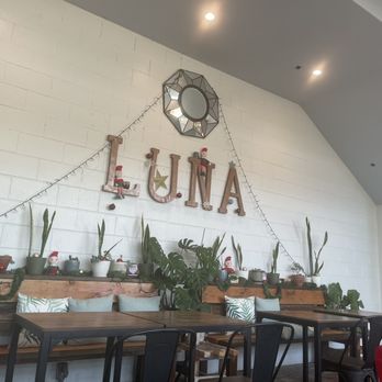 Luna Coffee Bar - Wider shot of Christmas decorations - Coffee & Tea Near Me - Cayucos, California Luna Coffee Bar - Wider shot of Christmas decorations - Coffee & Tea Near Me - Cayucos, California