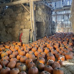 Knox Pumpkin Farm