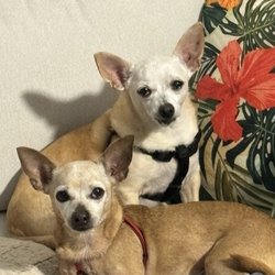 Pet Supermarket - Thank you, Alicia!