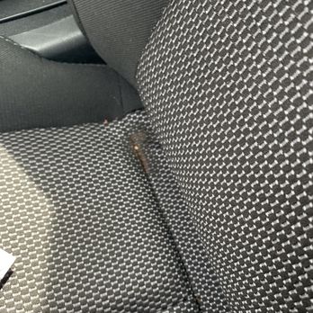 Alamo Rent A Car - Car Rental Near Me - Chicago, Illinois Alamo Rent A Car - Car Rental Near Me - Chicago, Illinois