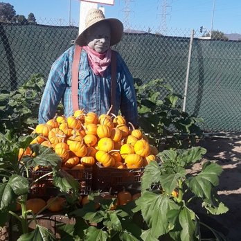Forneris Farms - Decor throughout the train ride - Farmers Market Near Me - Mission Hills, California Forneris Farms - Decor throughout the train ride - Farmers Market Near Me - Mission Hills, California