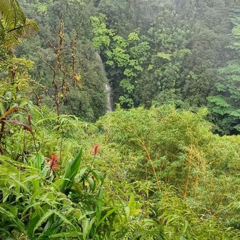 Akaka Falls State Park - Kahuna Falls - Parks Near Me - Honomu, Hawaii