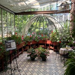 Moss Mansion Museum - Conservatory