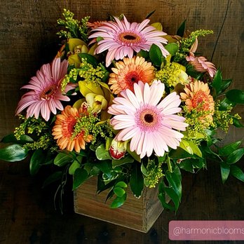Harmonic Blooms - Florists Near Me