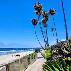 Scripps Beach - Scripps Beach