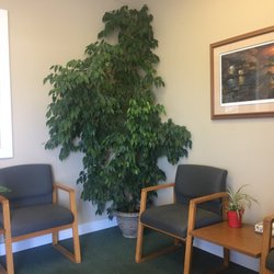 Family Chiropractic and Sports Therapy - Waiting room