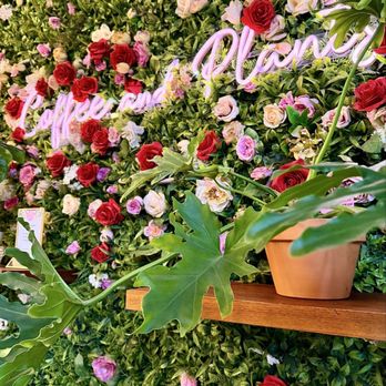 Coffee and Plants - Coffee & Tea Near Me - Pasadena, California Coffee and Plants - Coffee & Tea Near Me - Pasadena, California