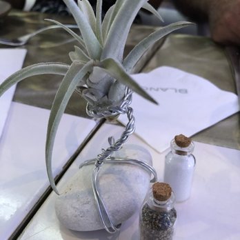 Blanc - Cute pepper and salt shakers - French Near Me - Fort Myers, Florida