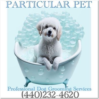Particular Pet - Dog Grooming - Pet Groomers Near Me - Maple Heights, Ohio Particular Pet - Dog Grooming - Pet Groomers Near Me - Maple Heights, Ohio