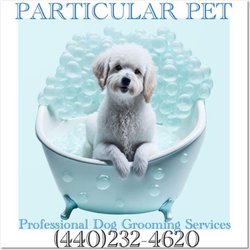 Particular Pet - Dog Grooming