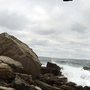 Photo of Dunningham Reserve